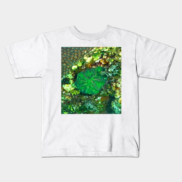 Green Artichoke Coral Anemone Kids T-Shirt by Scubagirlamy